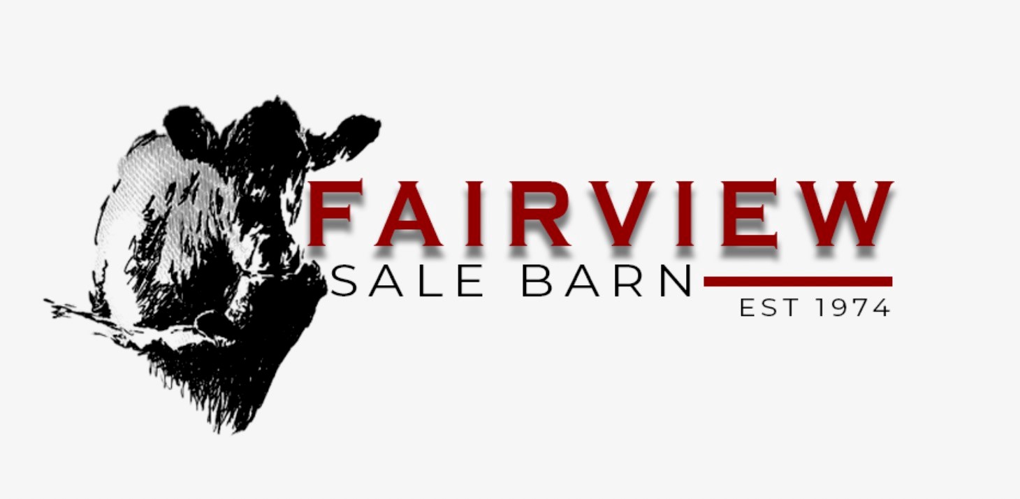 Fairview Logo