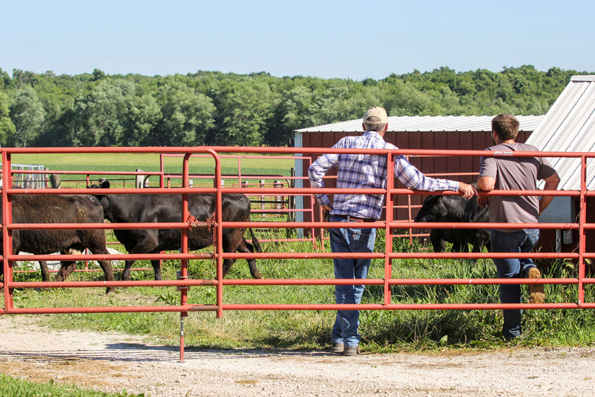 Cattlemen Connect Education Series